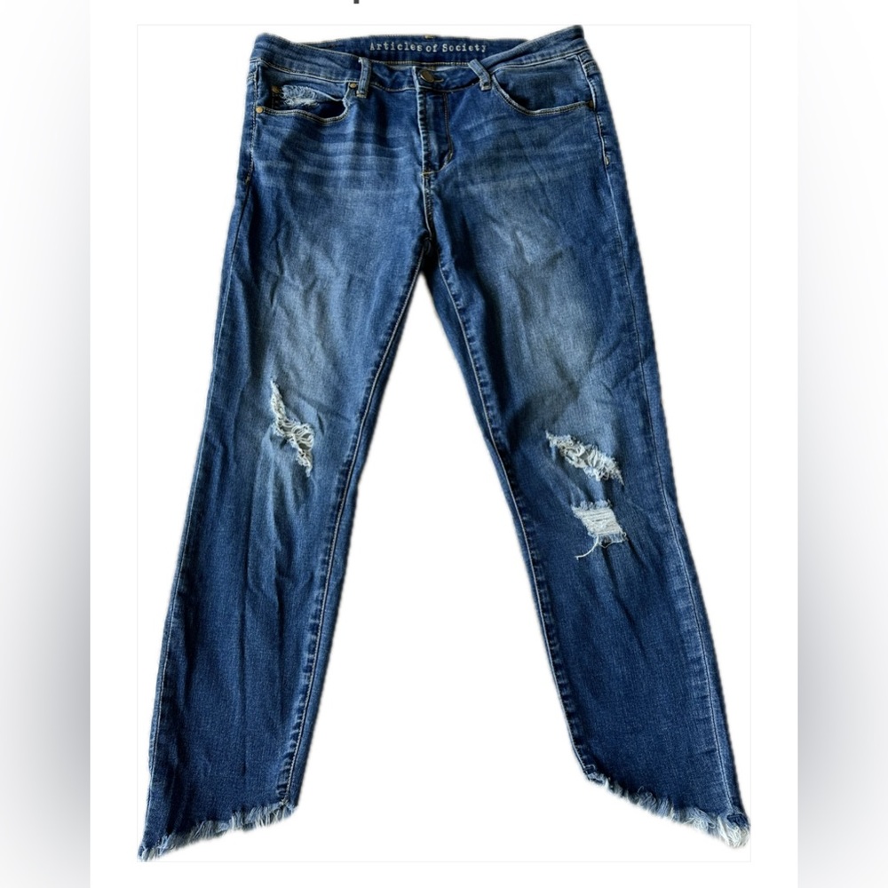 Articles of Society Fringe Hem Skinny Jean